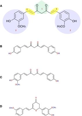 Nanocurcumin: A Promising Candidate for Therapeutic Applications